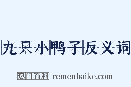九只小鸭子反义词是什么意思的图片